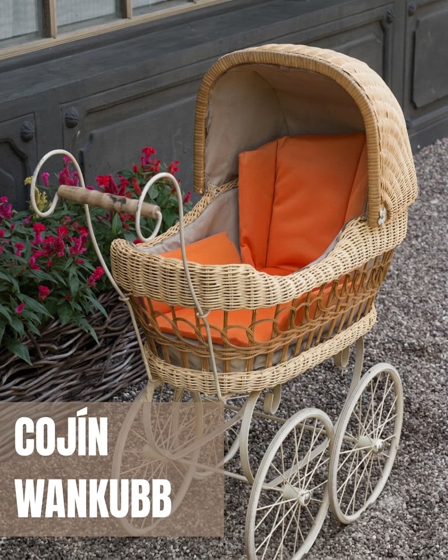 Cojín Wanku